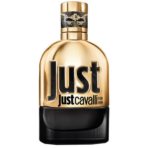 rc-just-cavalli-gold-for-him-_500x500